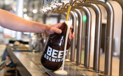 Beer Brewing Jobs