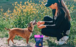 woman feeding dog