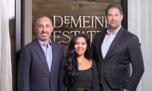 Demeine Estates leadership team